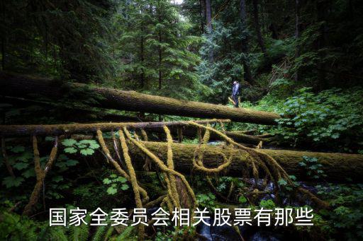 國家全委員會相關股票有那些