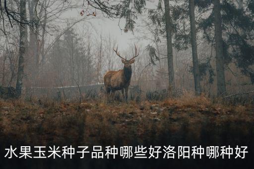 水果玉米種子品種哪些好洛陽種哪種好