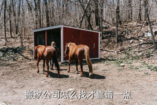搬家公司怎么找才靠譜一點