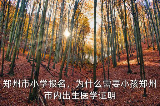 鄭州市小學報名，為什么需要小孩鄭州市內出生醫學證明
