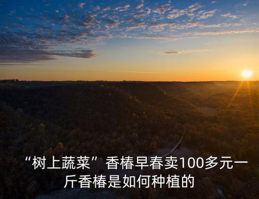 “樹上蔬菜”香椿早春賣100多元一斤香椿是如何種植的