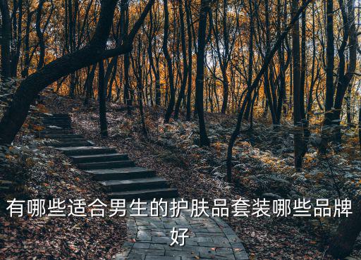 有哪些適合男生的護膚品套裝哪些品牌好