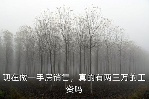 現(xiàn)在做一手房銷售，真的有兩三萬的工資嗎