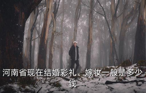河南省現在結婚彩禮、嫁妝一般是多少錢