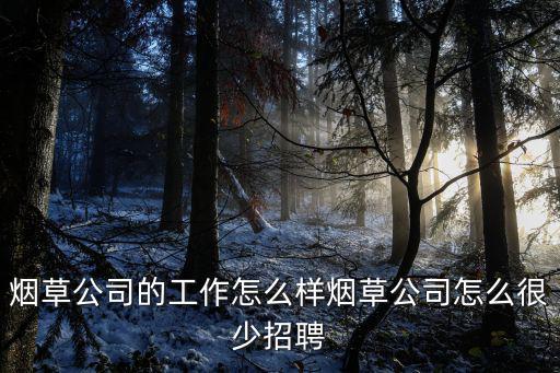 煙草公司的工作怎么樣煙草公司怎么很少招聘