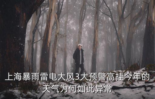 上海暴雨雷電大風3大預警高掛今年的天氣為何如此異常