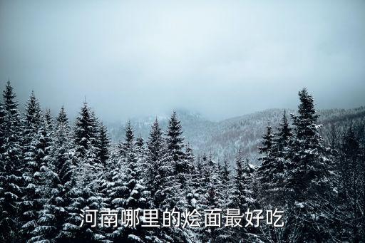 河南哪里的燴面最好吃
