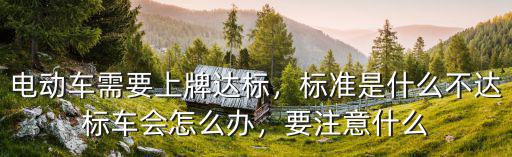 電動(dòng)車需要上牌達(dá)標(biāo)，標(biāo)準(zhǔn)是什么不達(dá)標(biāo)車會(huì)怎么辦，要注意什么