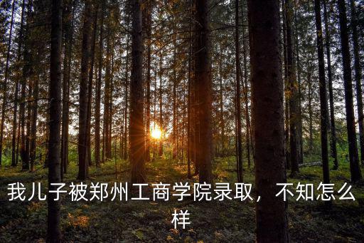 我兒子被鄭州工商學院錄取，不知怎么樣