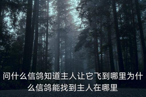 問什么信鴿知道主人讓它飛到哪里為什么信鴿能找到主人在哪里