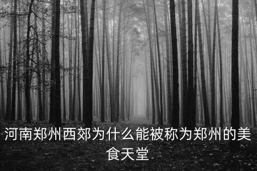 鄭州西區哪里生意好,鄭州西區前景如何