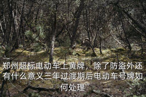 鄭州超標電動車上黃牌，除了防盜外還有什么意義三年過渡期后電動車號牌如何處理