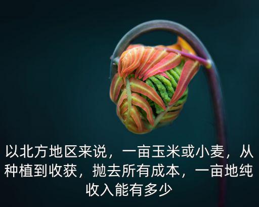 河南種一畝地能收入多少,一畝地純收入能有多少