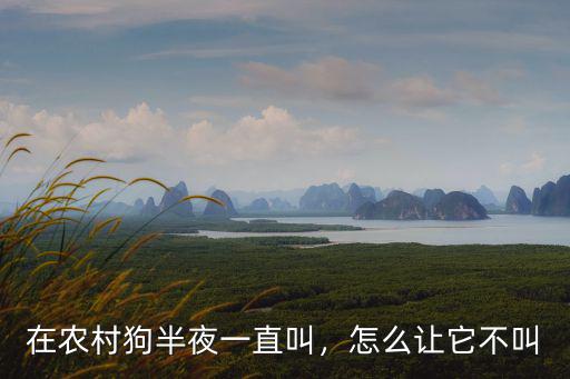 在農(nóng)村狗半夜一直叫，怎么讓它不叫