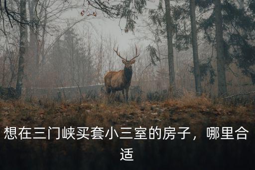 三門峽興糧小區在哪里,想在三門峽買套小三室的房子