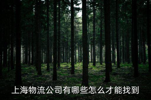 上海物流公司有哪些怎么才能找到