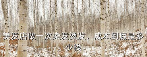 鄭州理發店燙頭多少錢,理發店燙發一般多少錢