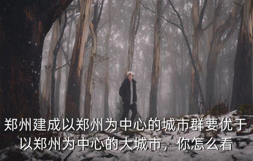 鄭州建成以鄭州為中心的城市群要優于以鄭州為中心的大城市，你怎么看