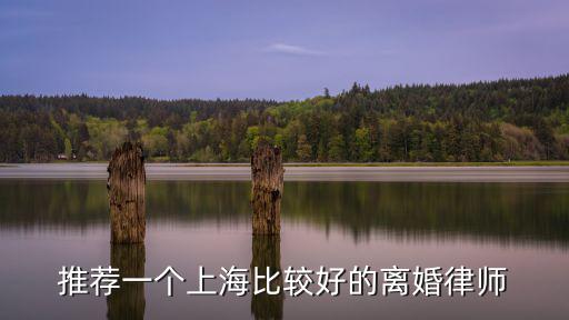 上海婚姻律師，上海就處理婚姻的律師事務所哪家比較好