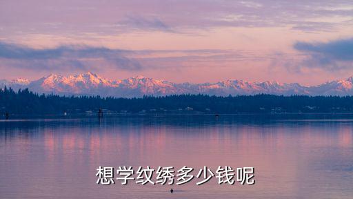 信陽市學紋繡多少錢,想學紋繡多少錢呢