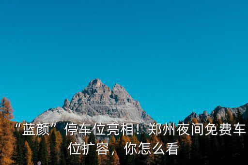鄭州有多少公共停車位,鄭州公共停車位該不該收費