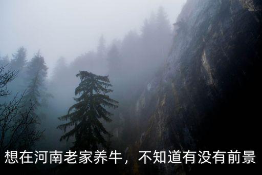 河南新野牛市場在哪里,河南哪里有水牛