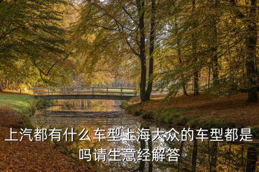 上汽都有什么車型上海大眾的車型都是嗎請生意經(jīng)解答