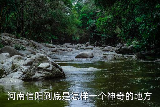 河南信陽哪里中華石楠,信陽哪里好玩