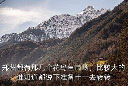 鄭州都有那幾個花鳥魚市場，比較大的誰知道都說下準備十一去轉轉