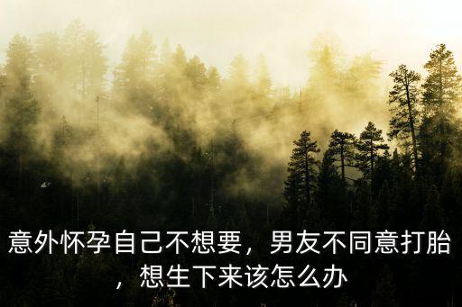 意外懷孕自己不想要，男友不同意打胎，想生下來該怎么辦