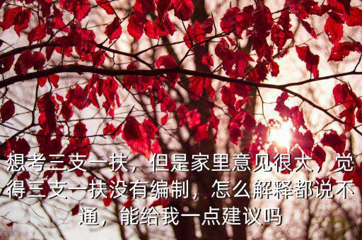 想考三支一扶，但是家里意見很大，覺得三支一扶沒有編制，怎么解釋都說不通，能給我一點(diǎn)建議嗎