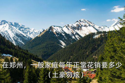 在鄭州，一般家庭每年正?；ㄤN要多少（土豪勿炫）