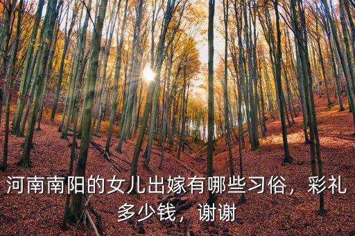 河南南陽的女兒出嫁有哪些習俗，彩禮多少錢，謝謝