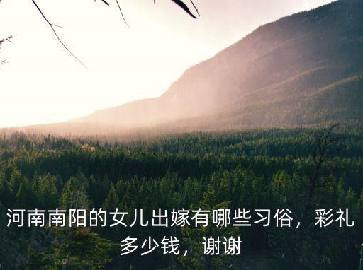 南陽妹妹結婚禮金一般多少,南陽各地結婚需要多少錢