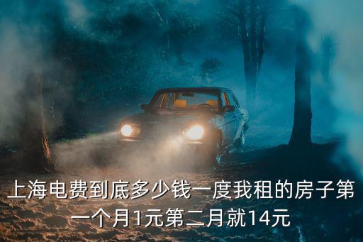 上海電費到底多少錢一度我租的房子第一個月1元第二月就14元