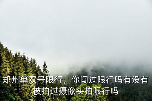 鄭州單雙號限行遇事怎么提前報備,鄭州單雙號限行