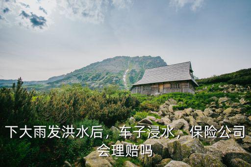 下大雨發洪水后，車子浸水，保險公司會理賠嗎