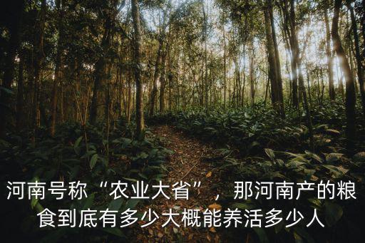 河南號稱“農業大省”，那河南產的糧食到底有多少大概能養活多少人
