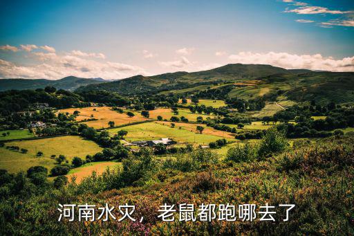新鄉(xiāng)洪澇水流到哪里去了,新鄉(xiāng)的雨水流向哪里