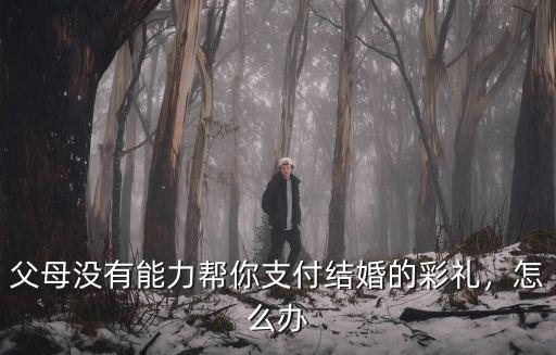 河南父母不給彩禮怎么辦,男方父母堅決不給彩禮錢