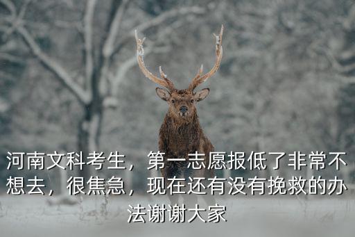 怎么報名去鄭州志愿,該怎么填報考志愿