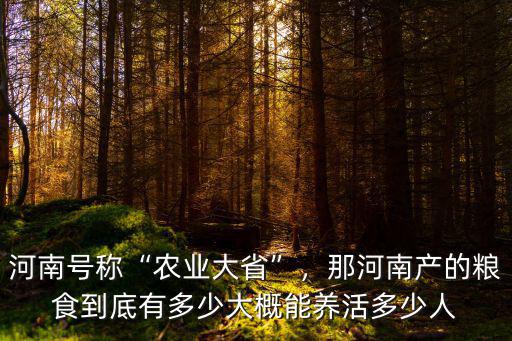 河南號稱“農業大省”，那河南產的糧食到底有多少大概能養活多少人