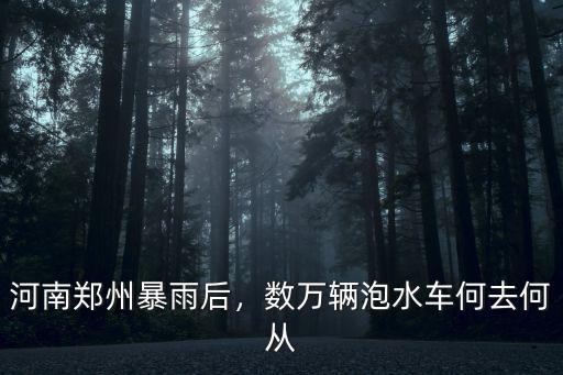 鄭州720暴雨泡水車怎么處理,應該怎么處理