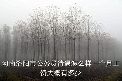 河南洛陽市公務員待遇怎么樣一個月工資大概有多少