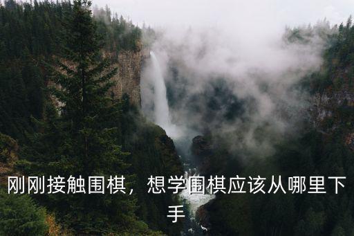 洛陽學(xué)圍棋哪里最好,圍棋從幾歲開始學(xué)最好