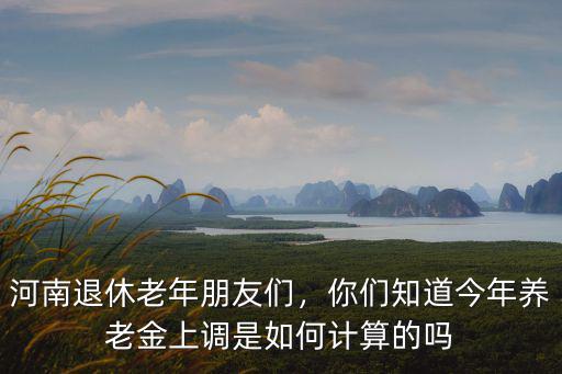 河南退休老年朋友們，你們知道今年養老金上調是如何計算的嗎