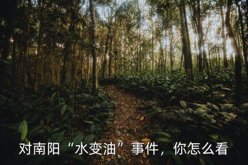 對南陽“水變油”事件，你怎么看