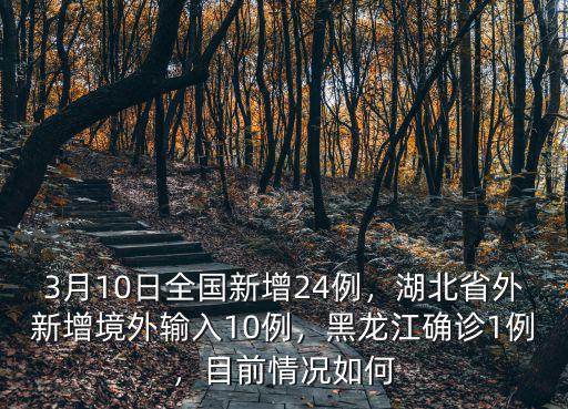 3月10日全國新增24例，湖北省外新增境外輸入10例，黑龍江確診1例，目前情況如何