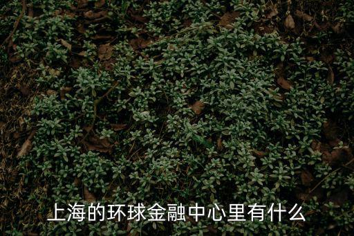 上海的環(huán)球金融中心里有什么