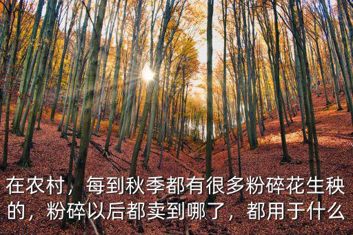 在農村，每到秋季都有很多粉碎花生秧的，粉碎以后都賣到哪了，都用于什么